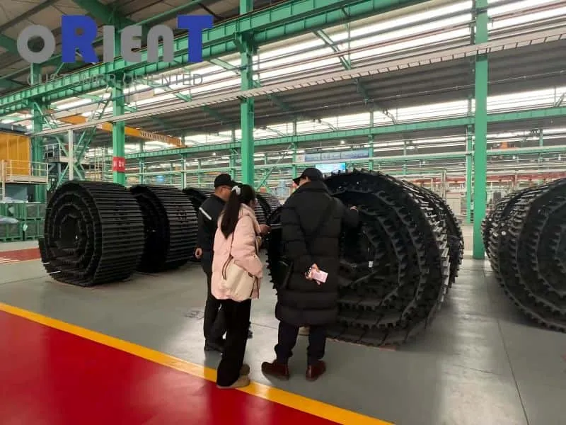 International Clients Visit and Praise Our Production